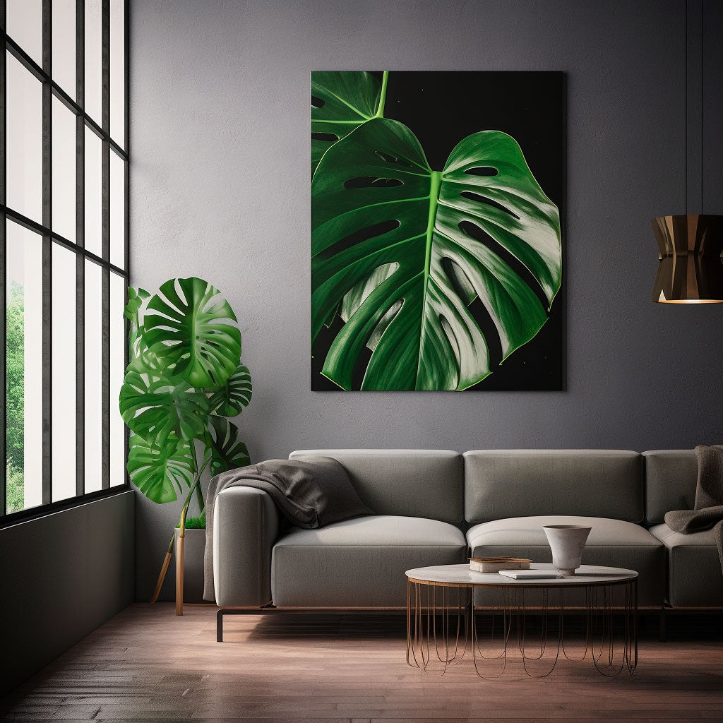 Monstera Deliciosa i en stue