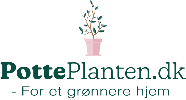 PottePlanten.dk