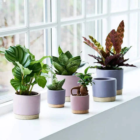 Efterårets største trends i 2022