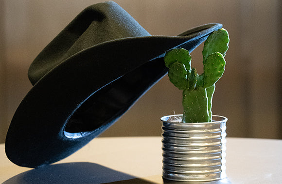 Kaktus Opuntia hat