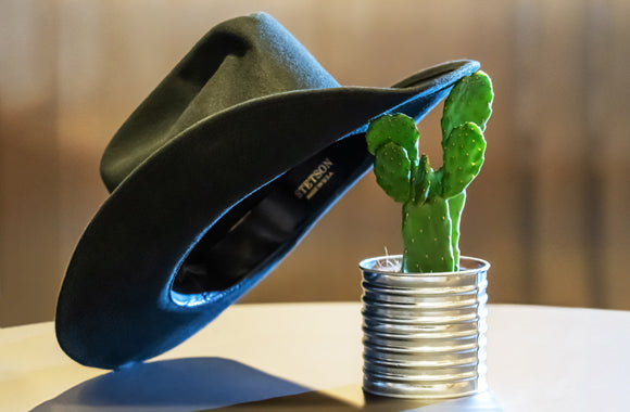 Kaktus oputunia rubescens