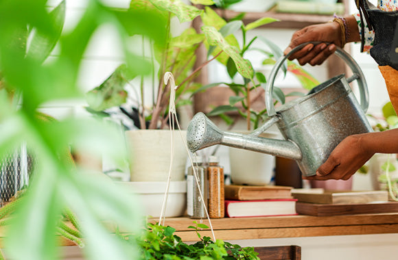 Kvinde der vander sine planter