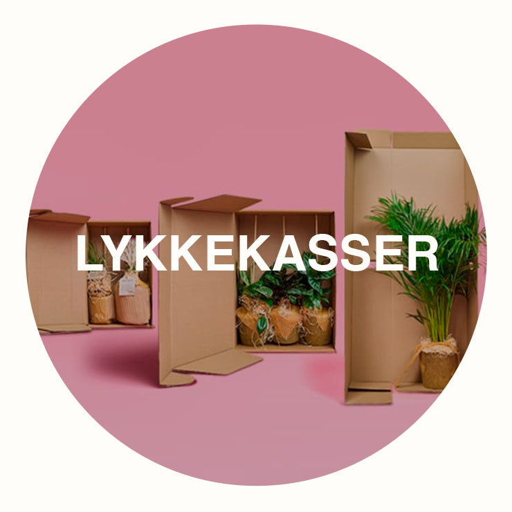 Lykkekasser