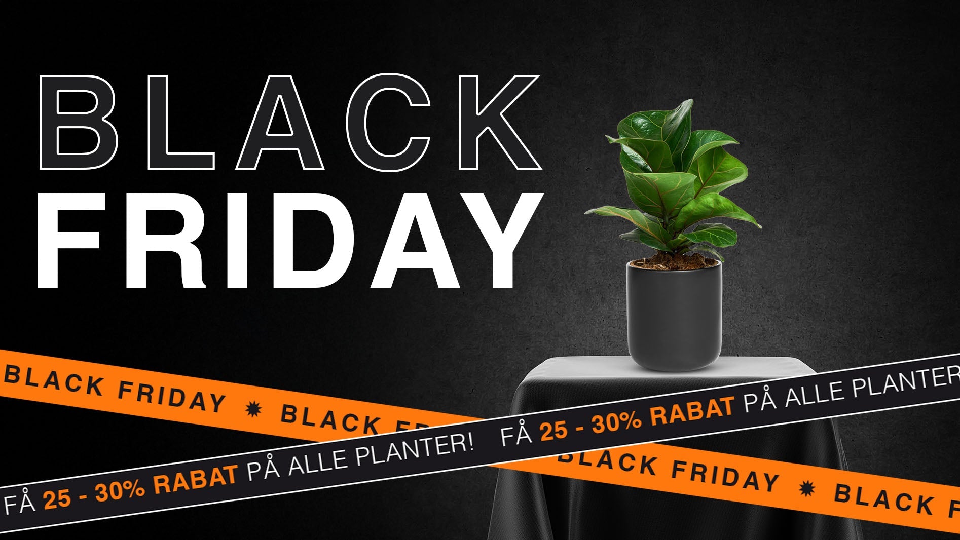 Black Friday Planter