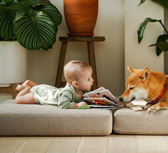 Et barn og en hund der leger med Calathea Freddy i baggrunden