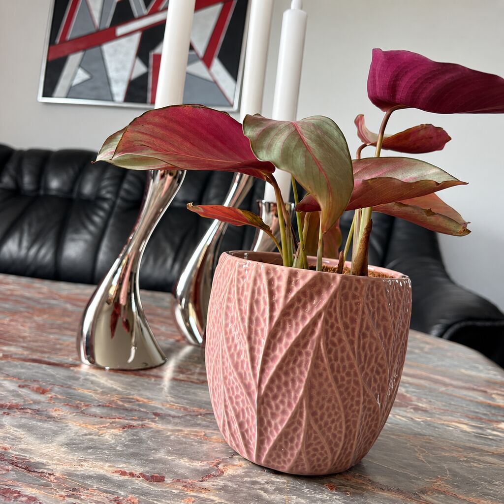 Calathea Silver Plate set fra siden i en rosa potte med bladmønster på et marmorbord foran en sort sofa.
