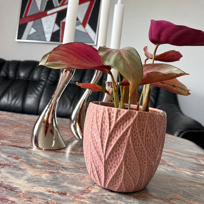 Calathea Silver Plate set fra siden i en rosa potte med bladmønster på et marmorbord foran en sort sofa.
