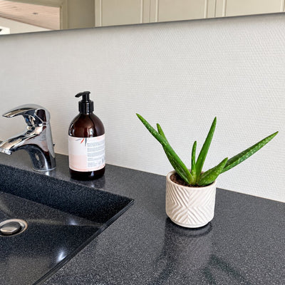 Aloe vera i en hvid mønstret potte ved den sorte håndvask på badeværelset.