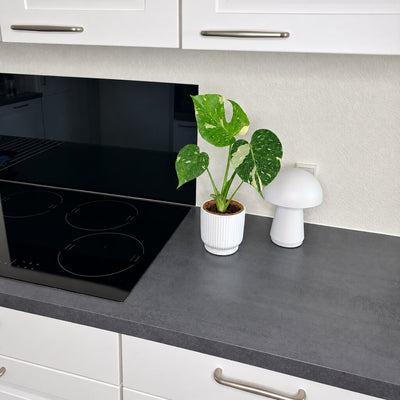 Monstera Thai Constellation i en hvid ribbet potte på køkkenbordet ved en hvid bordlampe.