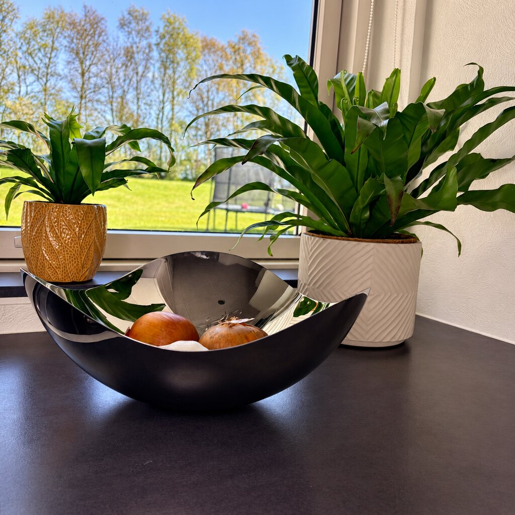 To Asplenium Antiquum i gul og hvid krukke ved et køkkenvindue med en skål løg foran.