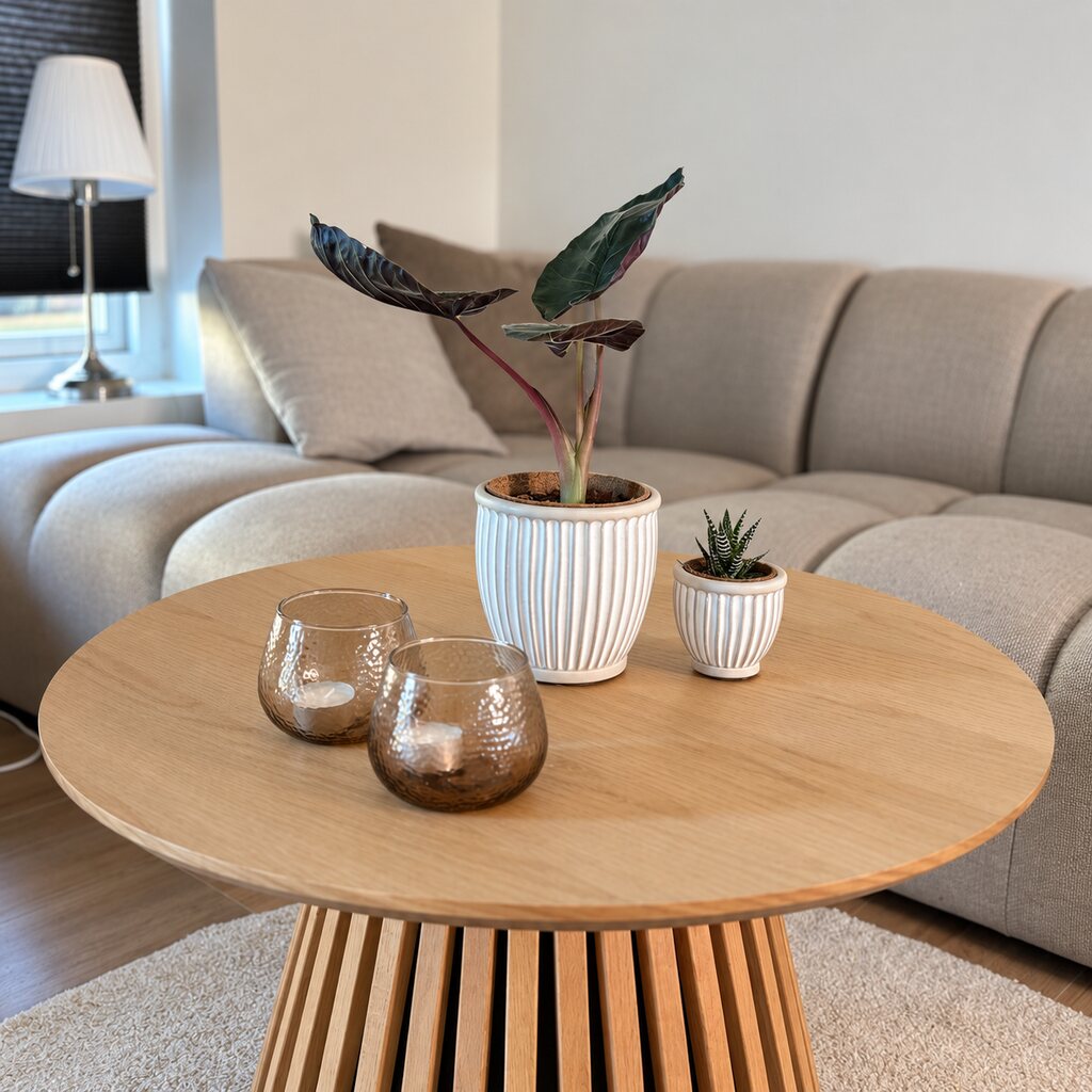 Alocasia Antoro med mørke blade i hvid rillet krukke på et rundt sofabord ved en lille sukkulent.