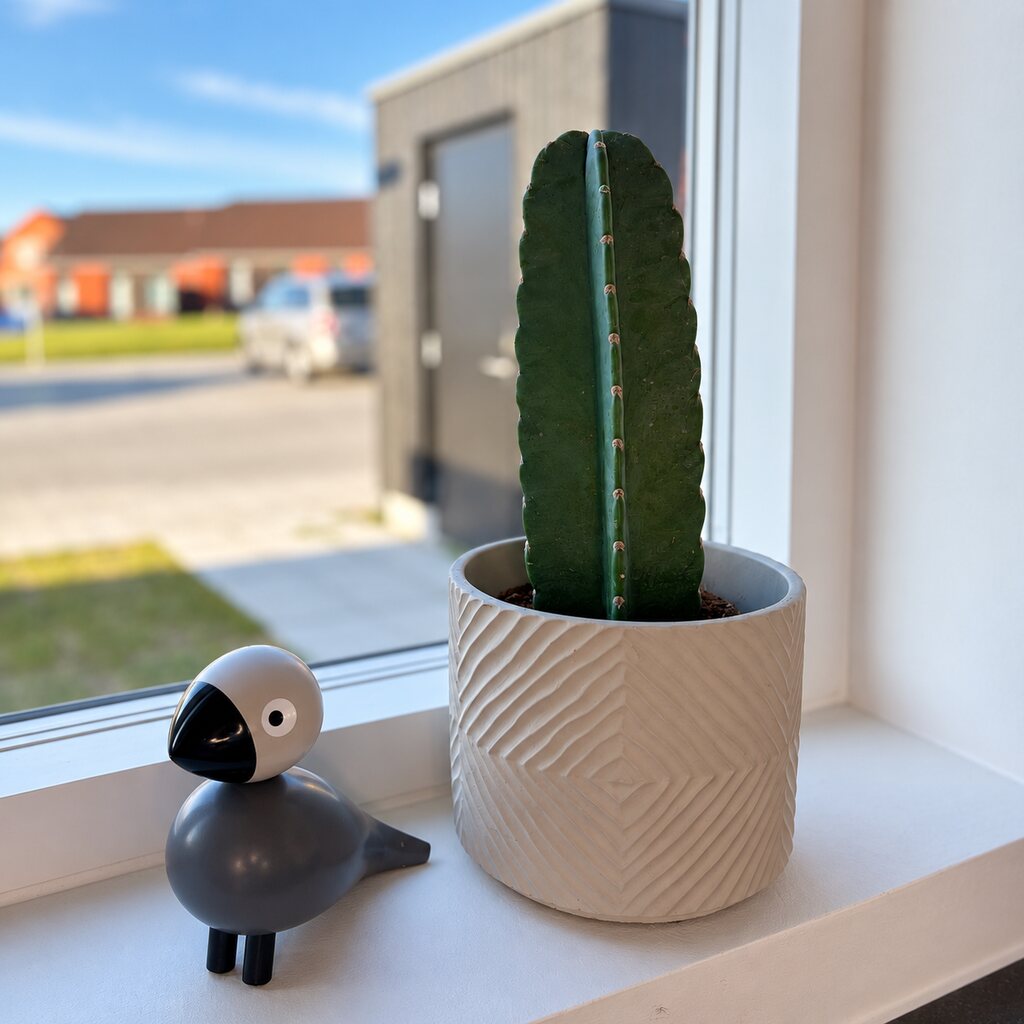 Cereus jamacaru i hvid mønstret krukke i vindueskarmen ved en grå træfugl.