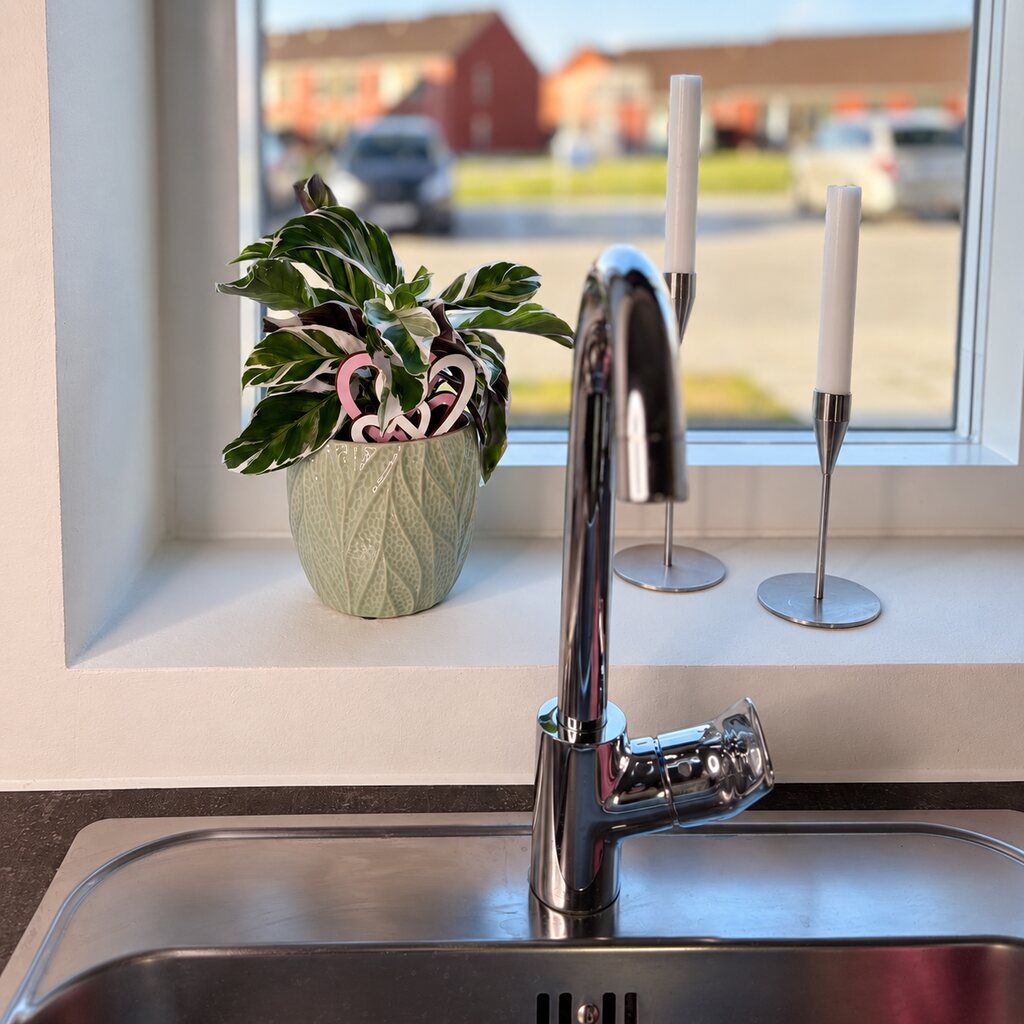 Calathea White Miracle med hvide og grønne blade i lysegrøn krukke med et pink hjerte i vindueskarmen.