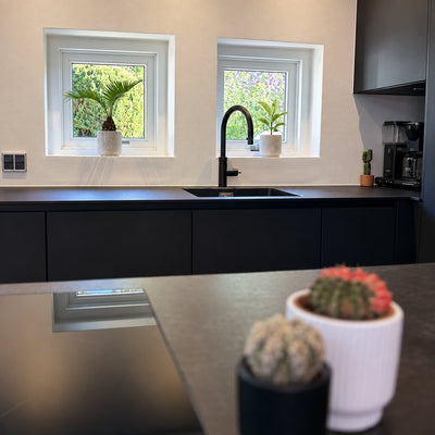 Cycas i hvid krukke i køkkenets vindueskarm med Ficus Shivereana i vinduet ved siden af.