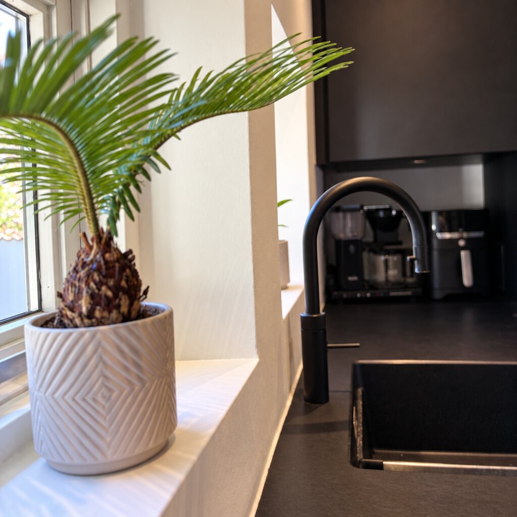 Cycas med fjerformede grønne blade i hvid krukke i vindueskarmen ved køkkenvasken.