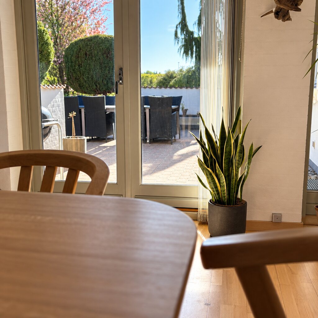 Sansevieria Laurentii i grå gulvkrukke ved terrassedøren bag spisebord og stol i træ.