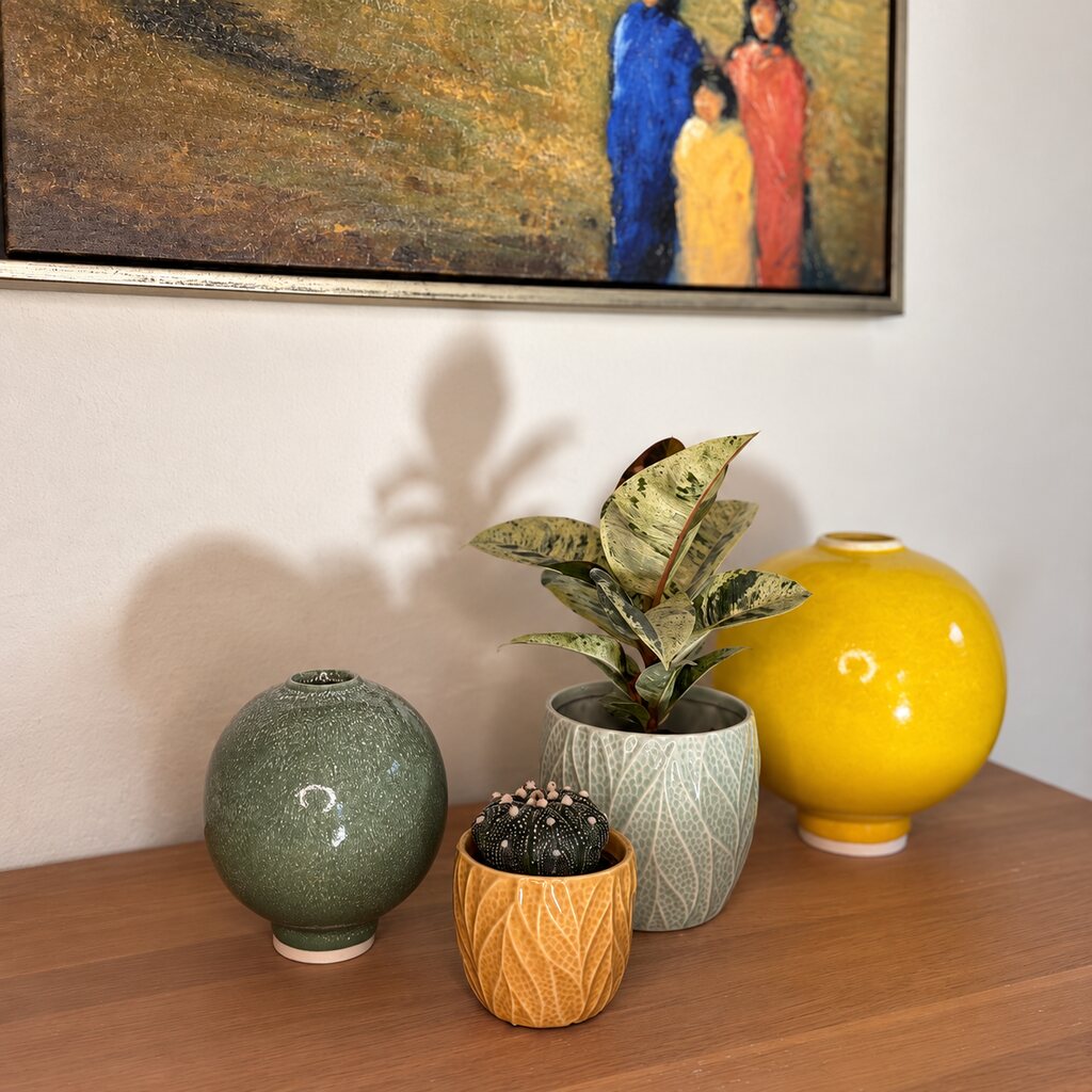 Ficus Shivereana i grøn krukke sammen med Astrophytum Asterias og grønne og gule vaser på en skænk.