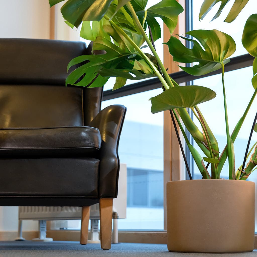 En stue med en stol og en Monstera Deliciosa – Blogger plante i en grå keramisk potteskjuler