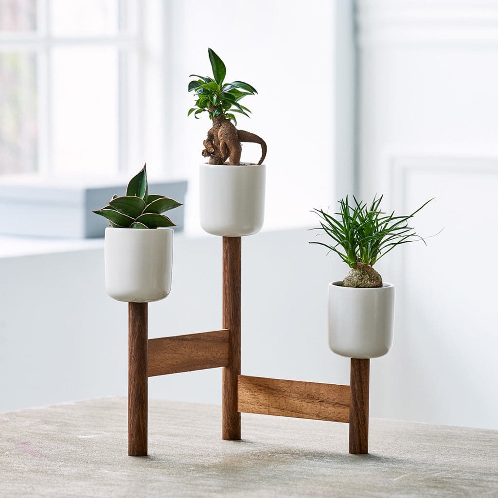 Et par UP-Wood Design potteskjuler på et træstativ der står på et bord.